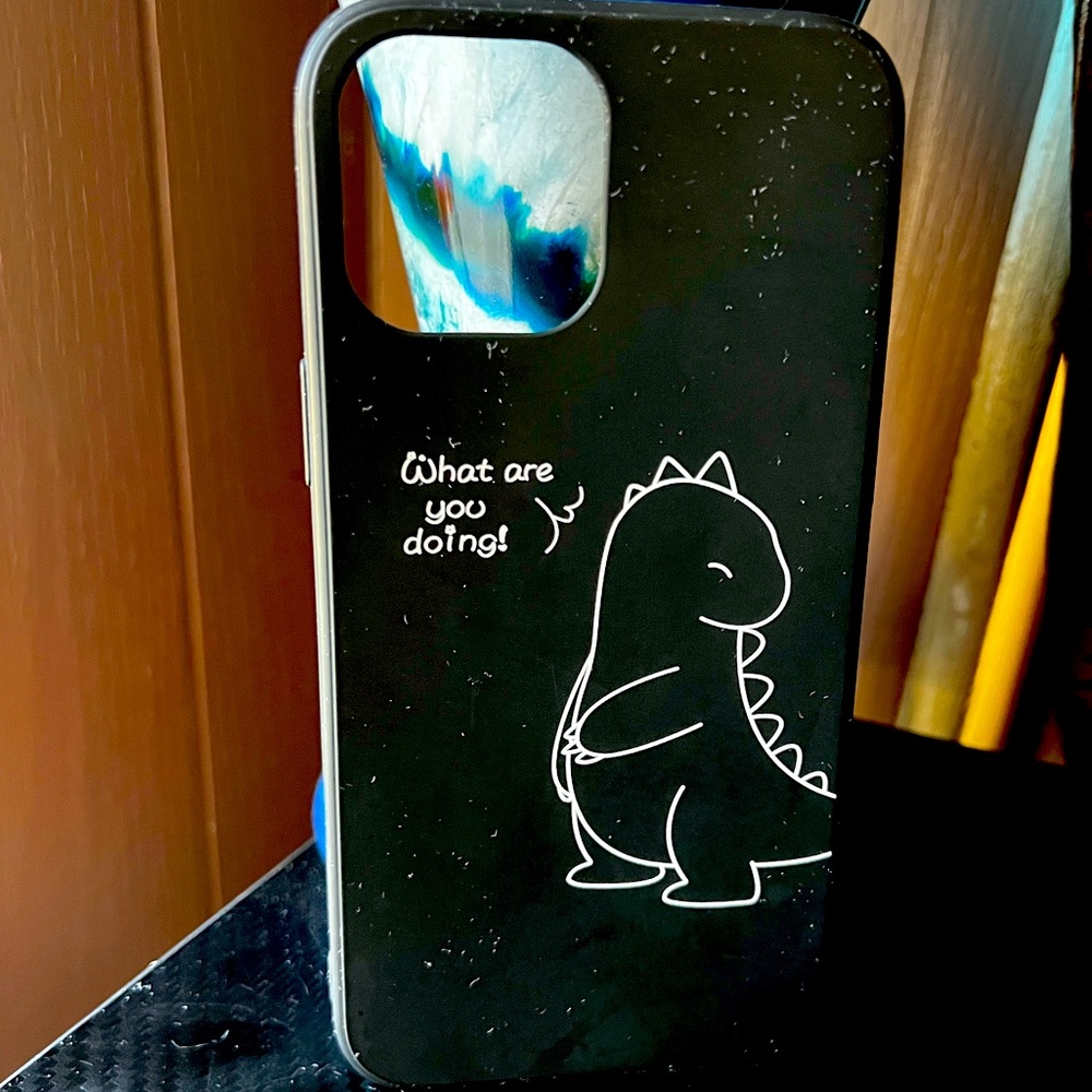 iPhone 12 Pro Max black case